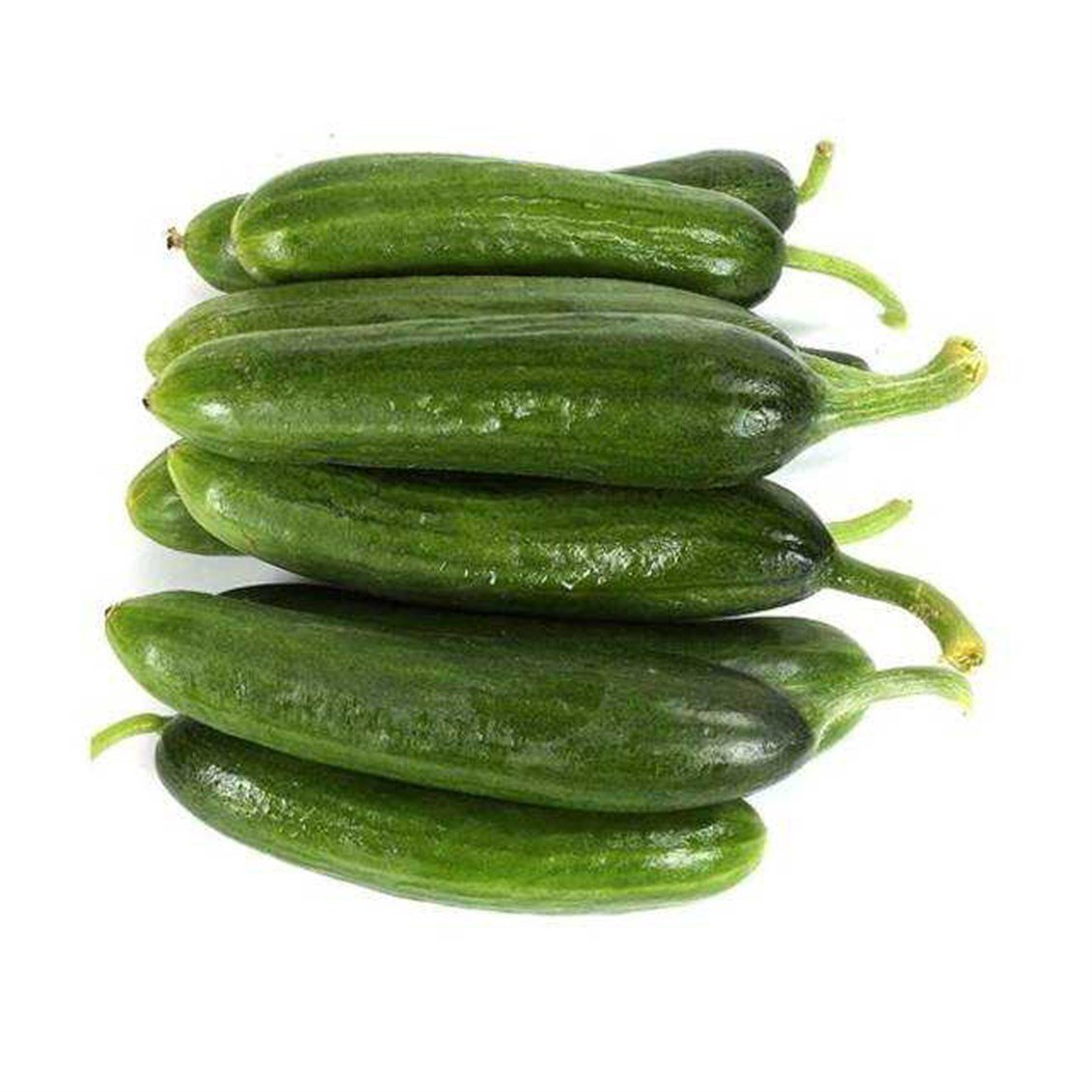 cengelkoy-salatalik-kg